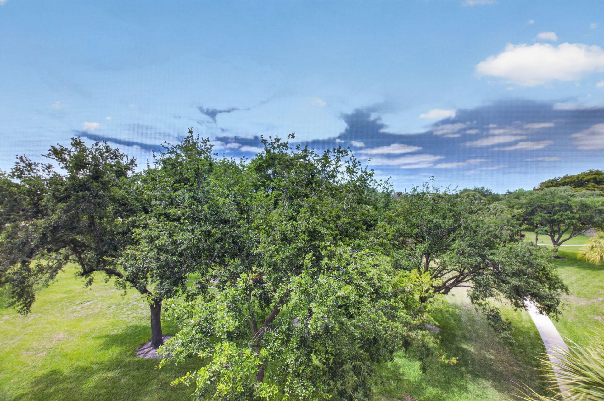 9170 SW 14th Street, Unit 4409, Boca Raton, FL 33428 Photo