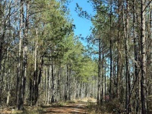 92 H STRANGE Road, Lecompte, LA 71346