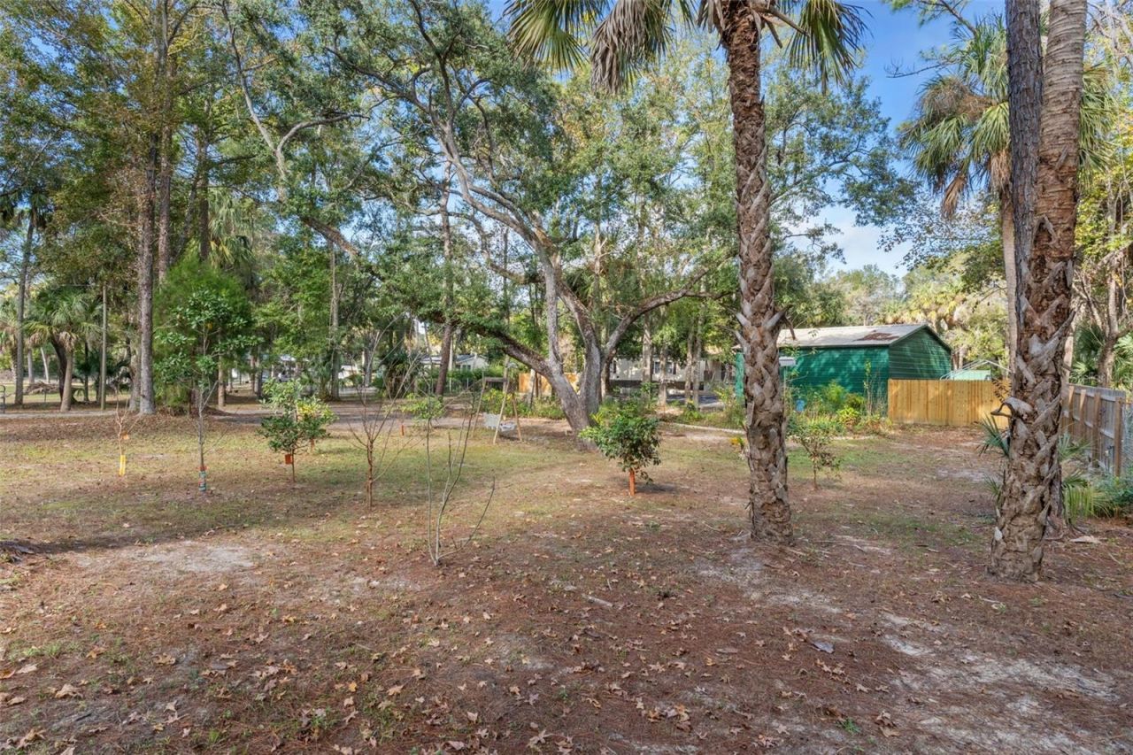 193 Gladys Avenue, Inglis, FL 34449 Photo