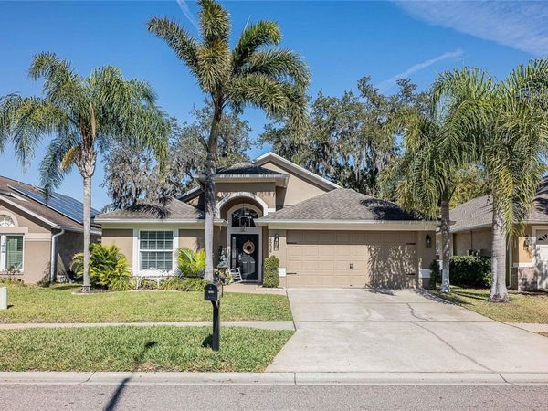 2524 SIENA WAY, VALRICO, FL 33596