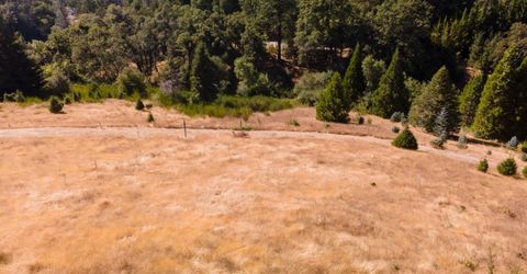 2465 Syd Rd, Greenwood, CA 95635 Photo