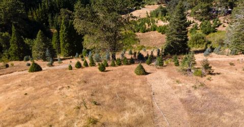 2465 Syd Rd, Greenwood, CA 95635 Photo