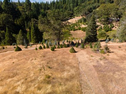 2465 Syd Rd, Greenwood, CA 95635 Photo