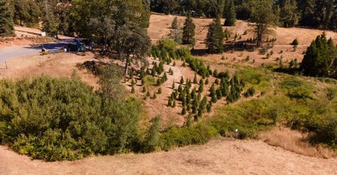 2465 Syd Rd, Greenwood, CA 95635 Photo