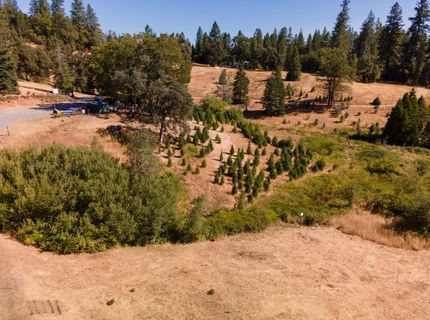 2465 Syd Rd, Greenwood, CA 95635 Photo