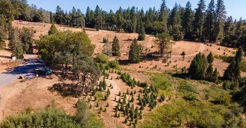 2465 Syd Rd, Greenwood, CA 95635 Photo