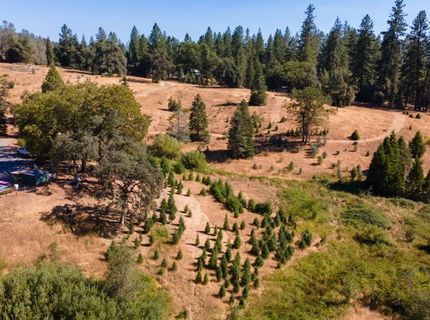 2465 Syd Rd, Greenwood, CA 95635 Photo