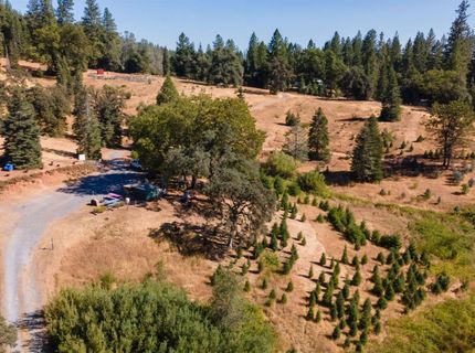 2465 Syd Rd, Greenwood, CA 95635 Photo