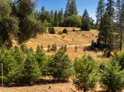 2465 Syd Rd, Greenwood, CA 95635 Photo