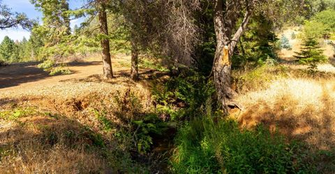 2465 Syd Rd, Greenwood, CA 95635 Photo