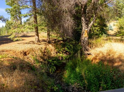 2465 Syd Rd, Greenwood, CA 95635 Photo