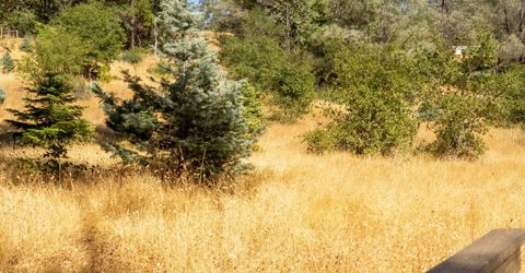 2465 Syd Rd, Greenwood, CA 95635 Photo