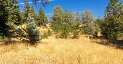 2465 Syd Rd, Greenwood, CA 95635 Photo