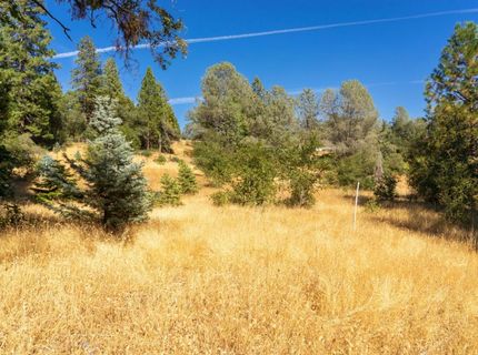 2465 Syd Rd, Greenwood, CA 95635 Photo