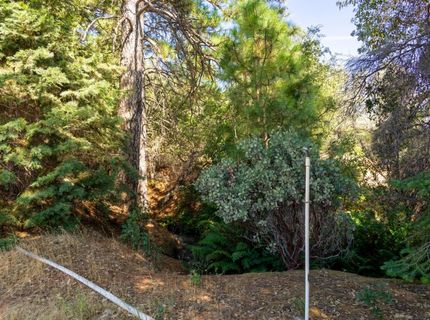 2465 Syd Rd, Greenwood, CA 95635 Photo