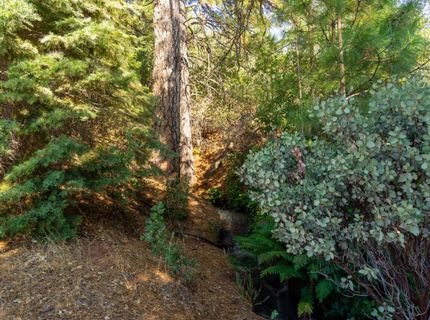 2465 Syd Rd, Greenwood, CA 95635 Photo