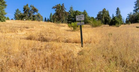 2465 Syd Rd, Greenwood, CA 95635 Photo