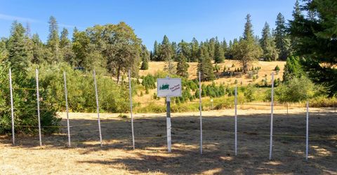 2465 Syd Rd, Greenwood, CA 95635 Photo