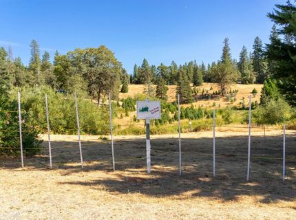 2465 Syd Rd, Greenwood, CA 95635 Photo
