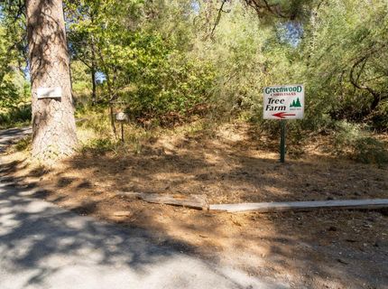2465 Syd Rd, Greenwood, CA 95635 Photo
