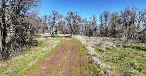 Troost Trl, North San Juan, CA 95960 Photo