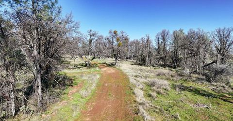 Troost Trl, North San Juan, CA 95960 Photo