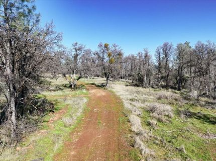 Troost Trl, North San Juan, CA 95960 Photo