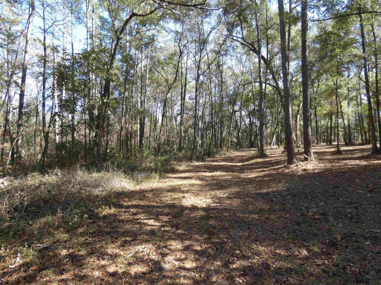 640 Nautilus Drive, Monticello, FL 32344 Photo