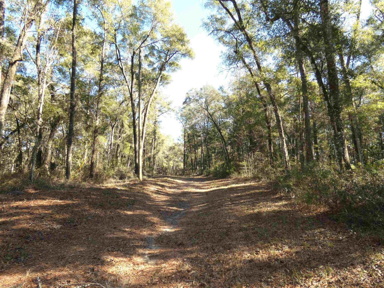 640 Nautilus Drive, Monticello, FL 32344 Photo