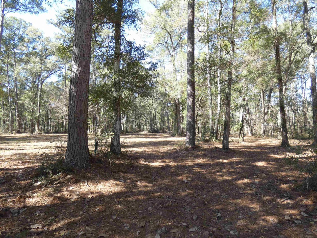 640 Nautilus Drive, Monticello, FL 32344 Photo