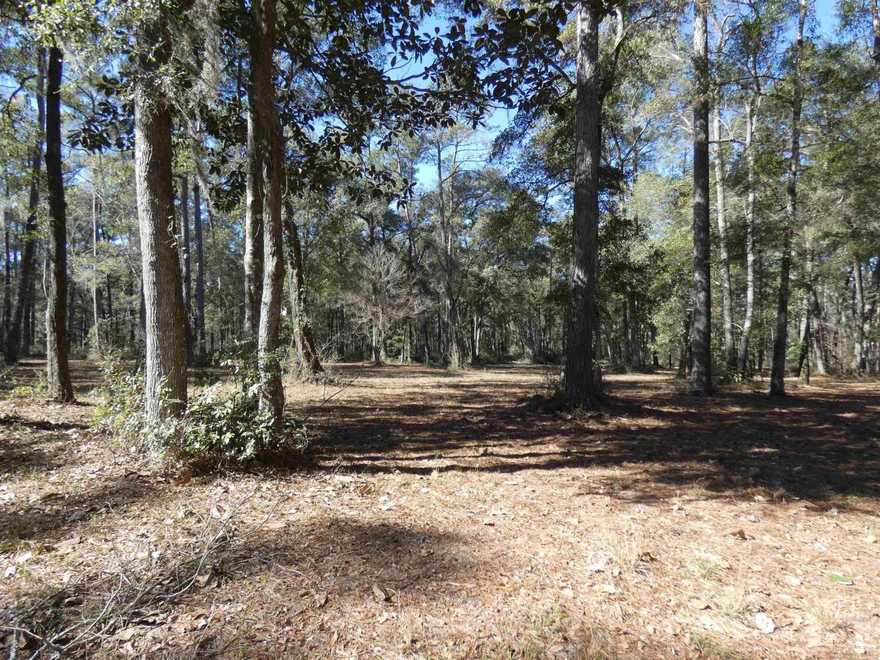 640 Nautilus Drive, Monticello, FL 32344 Photo