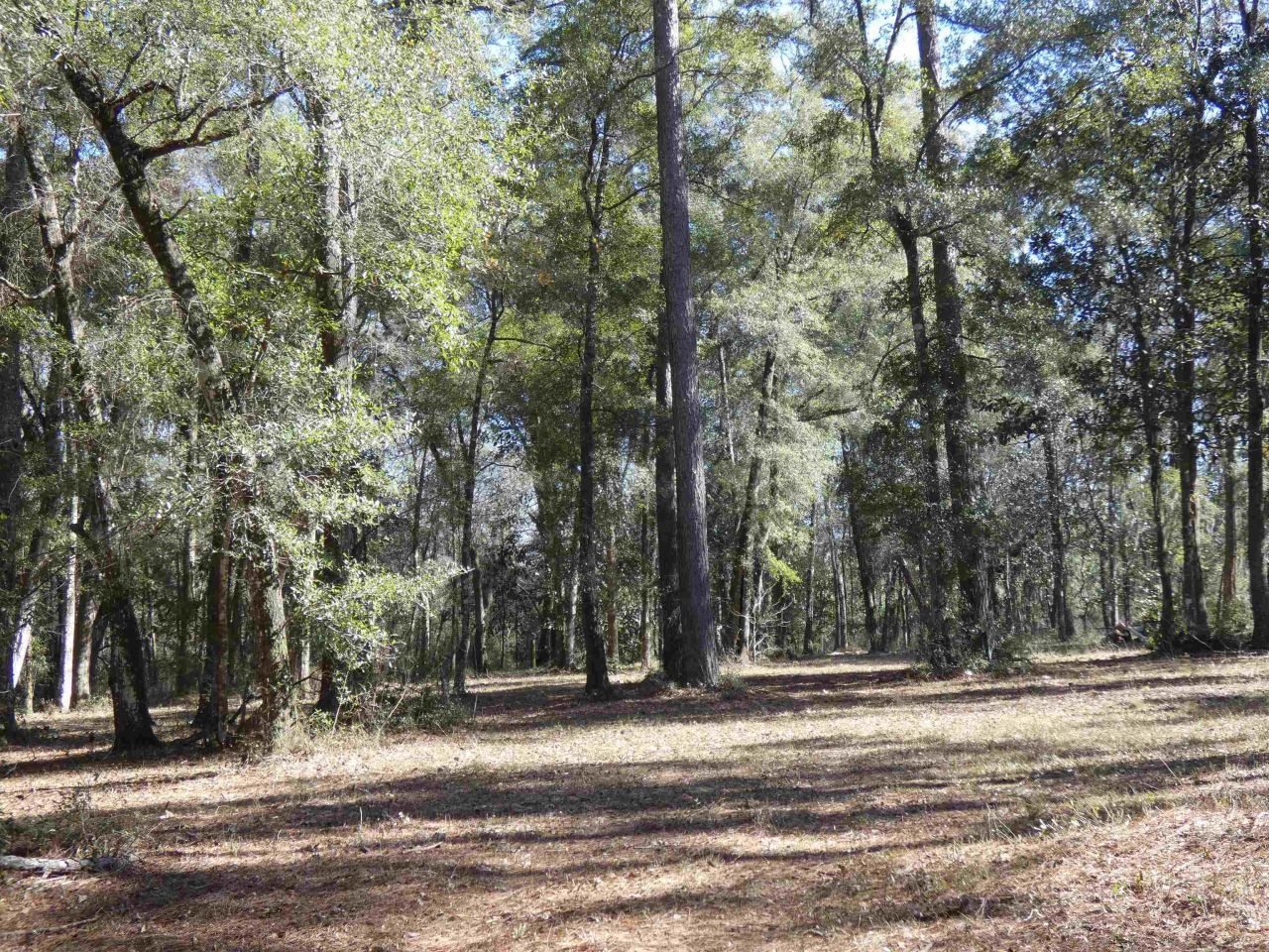 640 Nautilus Drive, Monticello, FL 32344 Photo