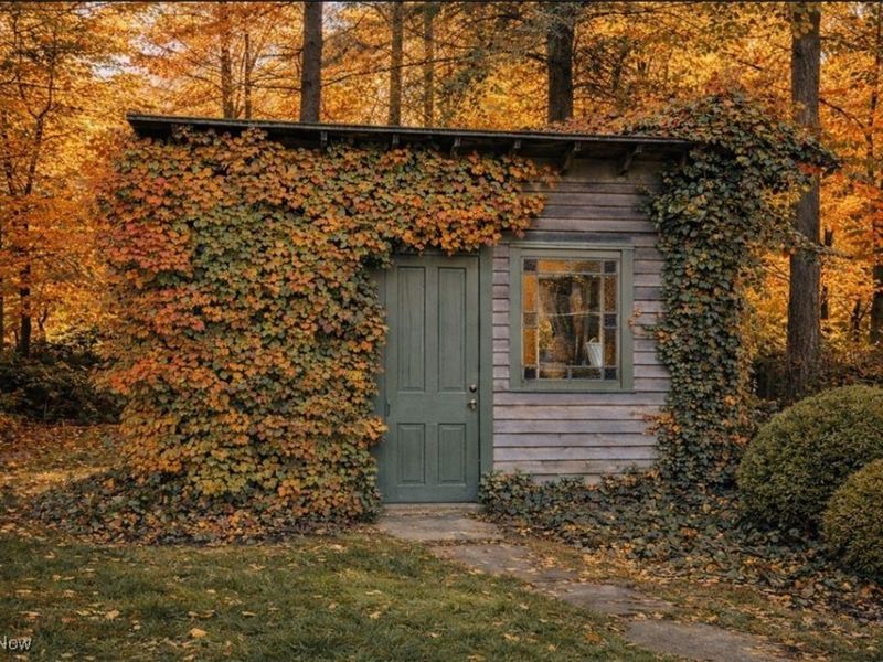 1153 Sunset View Drive, Akron, OH 44313 Photo 4