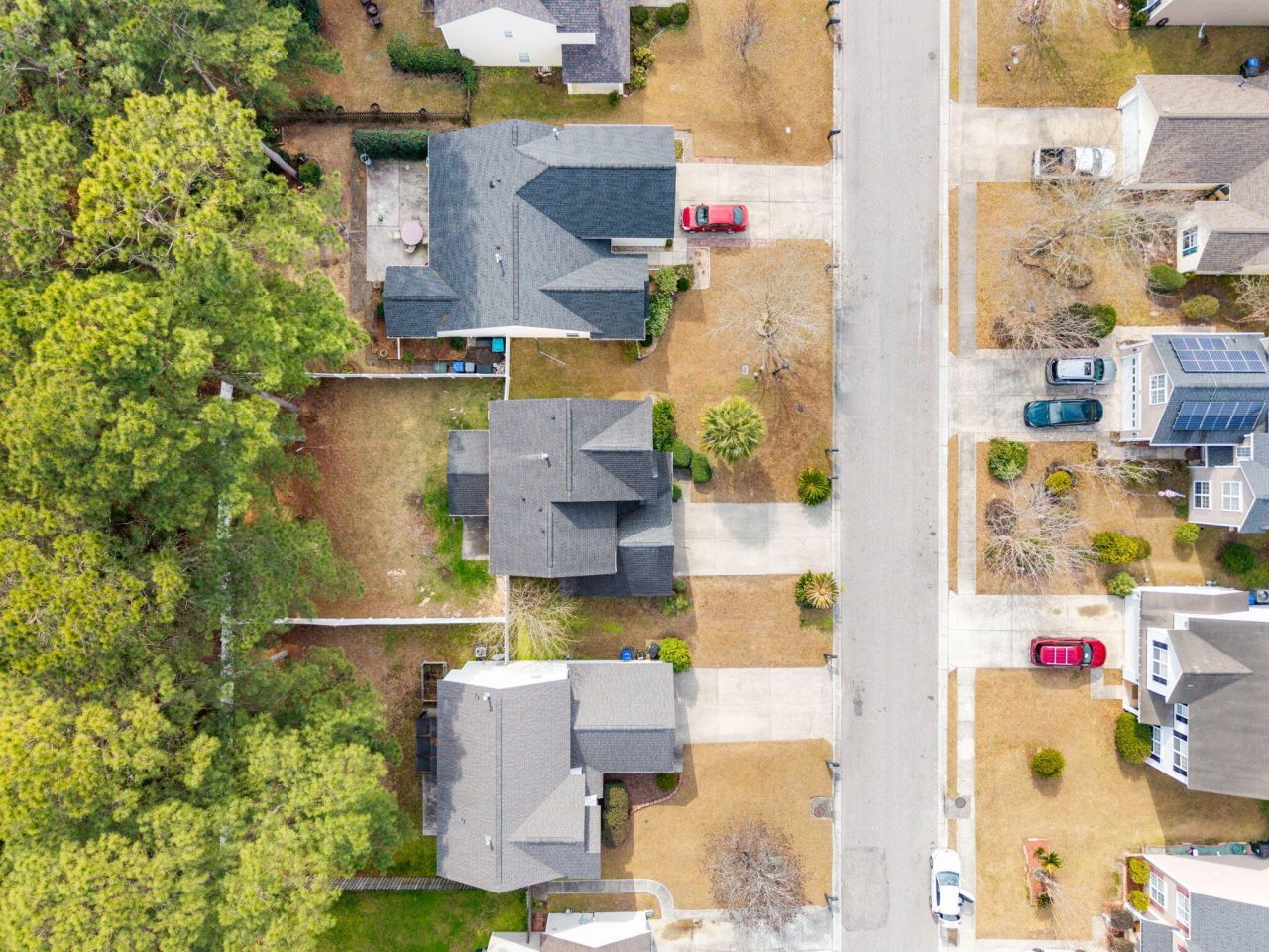 129 Towering Pine Drive Photo 40