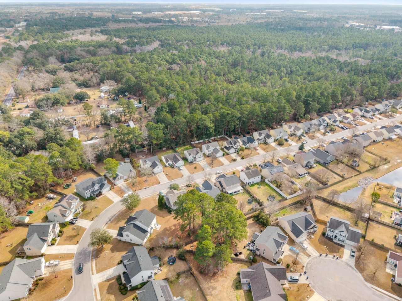 129 Towering Pine Drive Photo 44