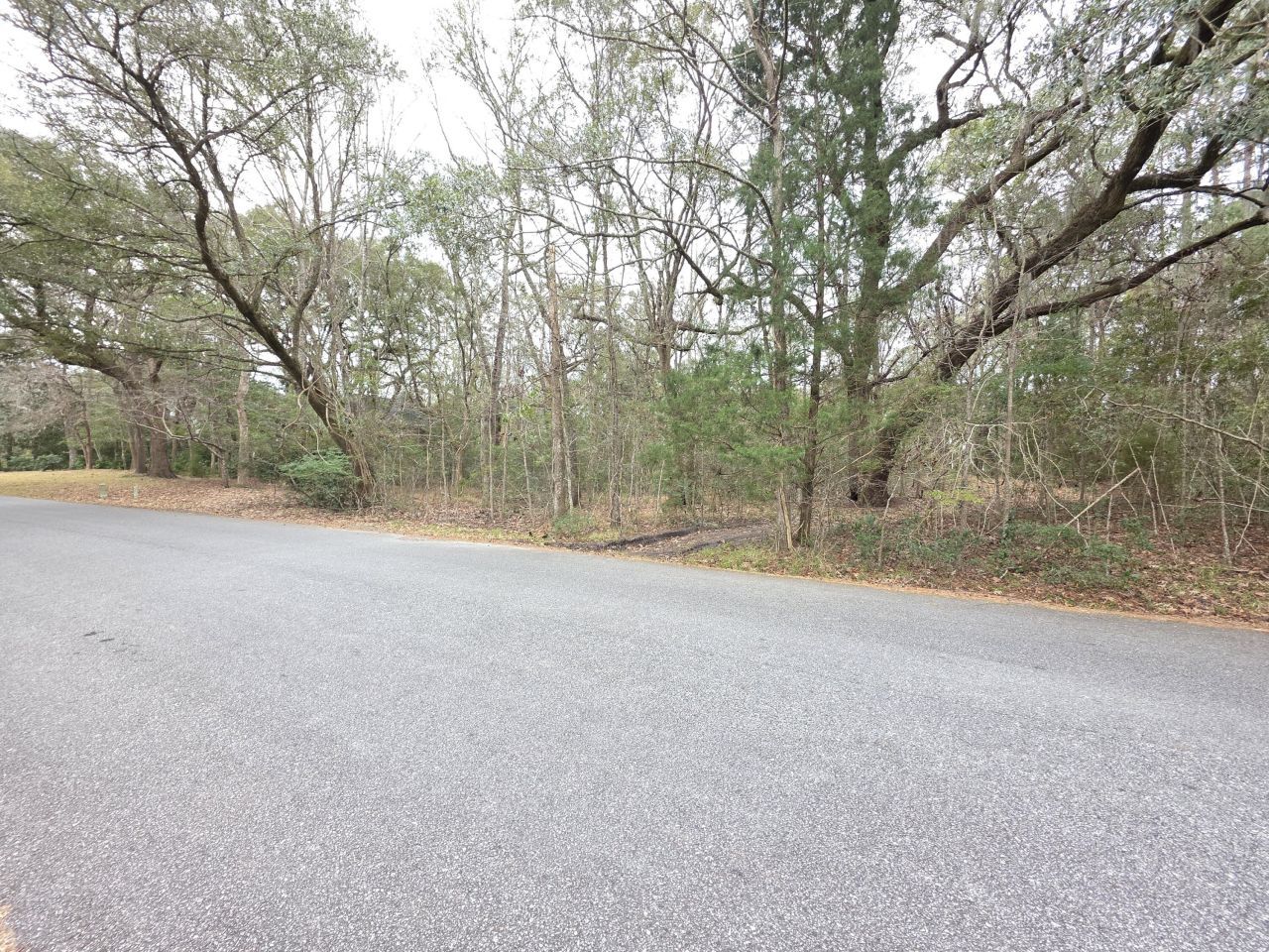 0 Timber Race Course Photo 4