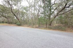 0 Timber Race Course photo 4