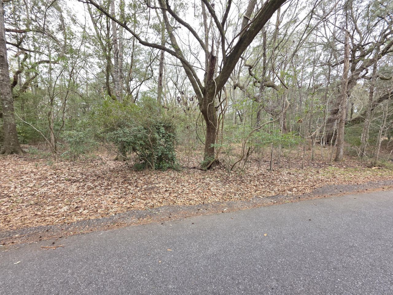 0 Timber Race Course Photo 5