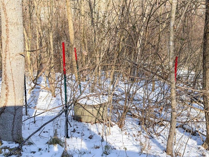 0 Twp Rd 158, West Lafayette, OH 43845 Photo 10