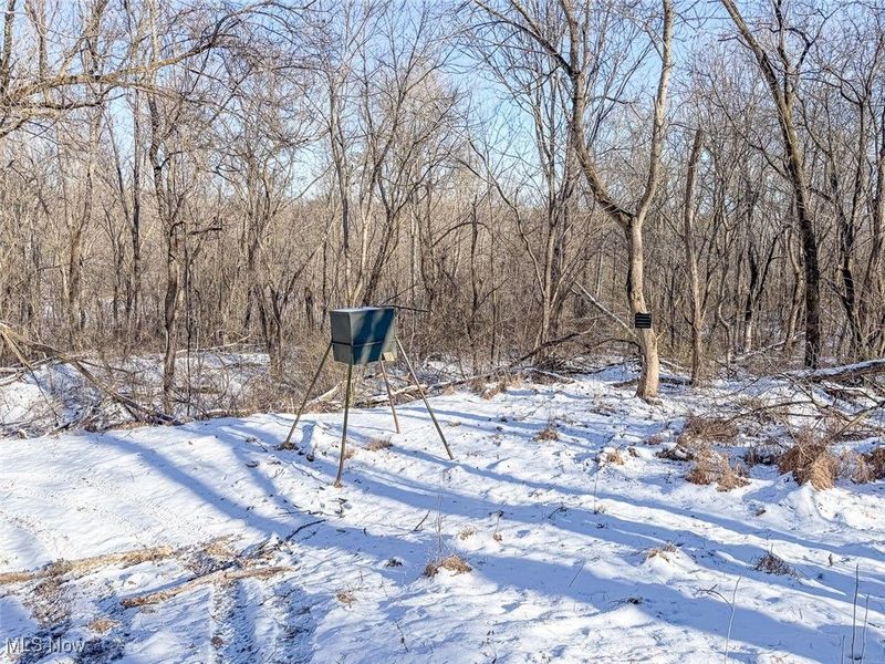 0 Twp Rd 158, West Lafayette, OH 43845 Photo 11