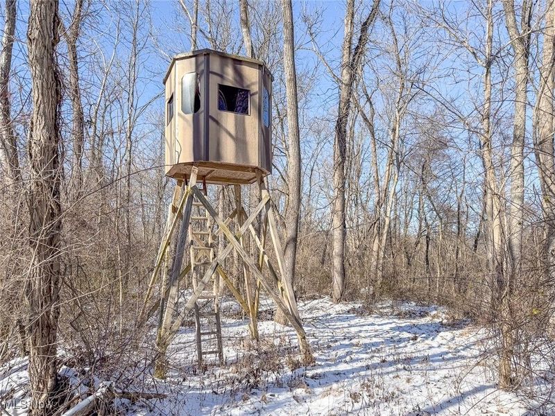 0 Twp Rd 158, West Lafayette, OH 43845 Photo 12