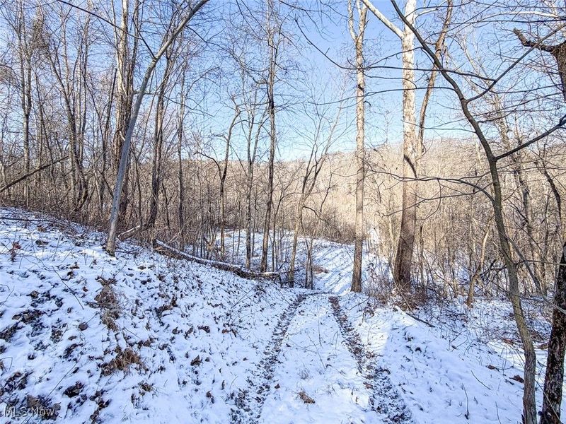 0 Twp Rd 158, West Lafayette, OH 43845 Photo 13