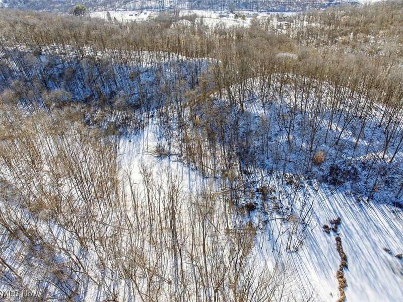 0 Twp Rd 158, West Lafayette, OH 43845 Photo 14