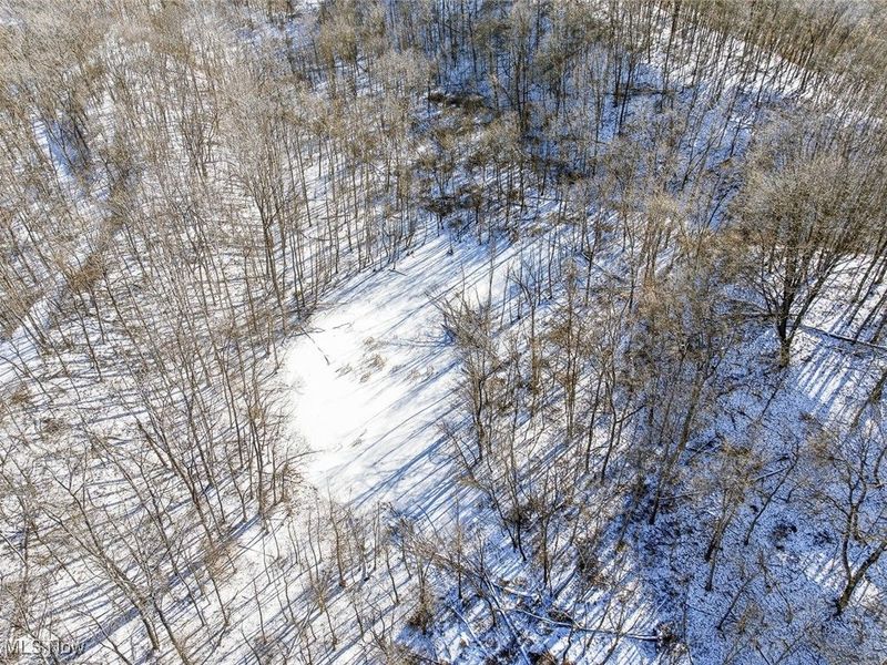 0 Twp Rd 158, West Lafayette, OH 43845 Photo 15