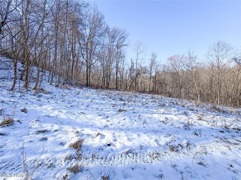 0 Twp Rd 158, West Lafayette, OH 43845 Photo 8