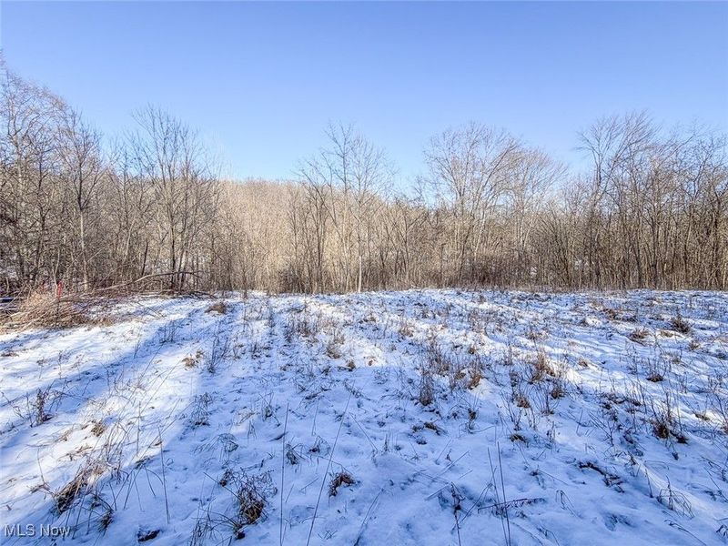 0 Twp Rd 158, West Lafayette, OH 43845 Photo 9