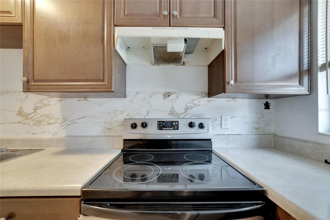 8720 N 48th Street, Tampa, FL 33617 Photo