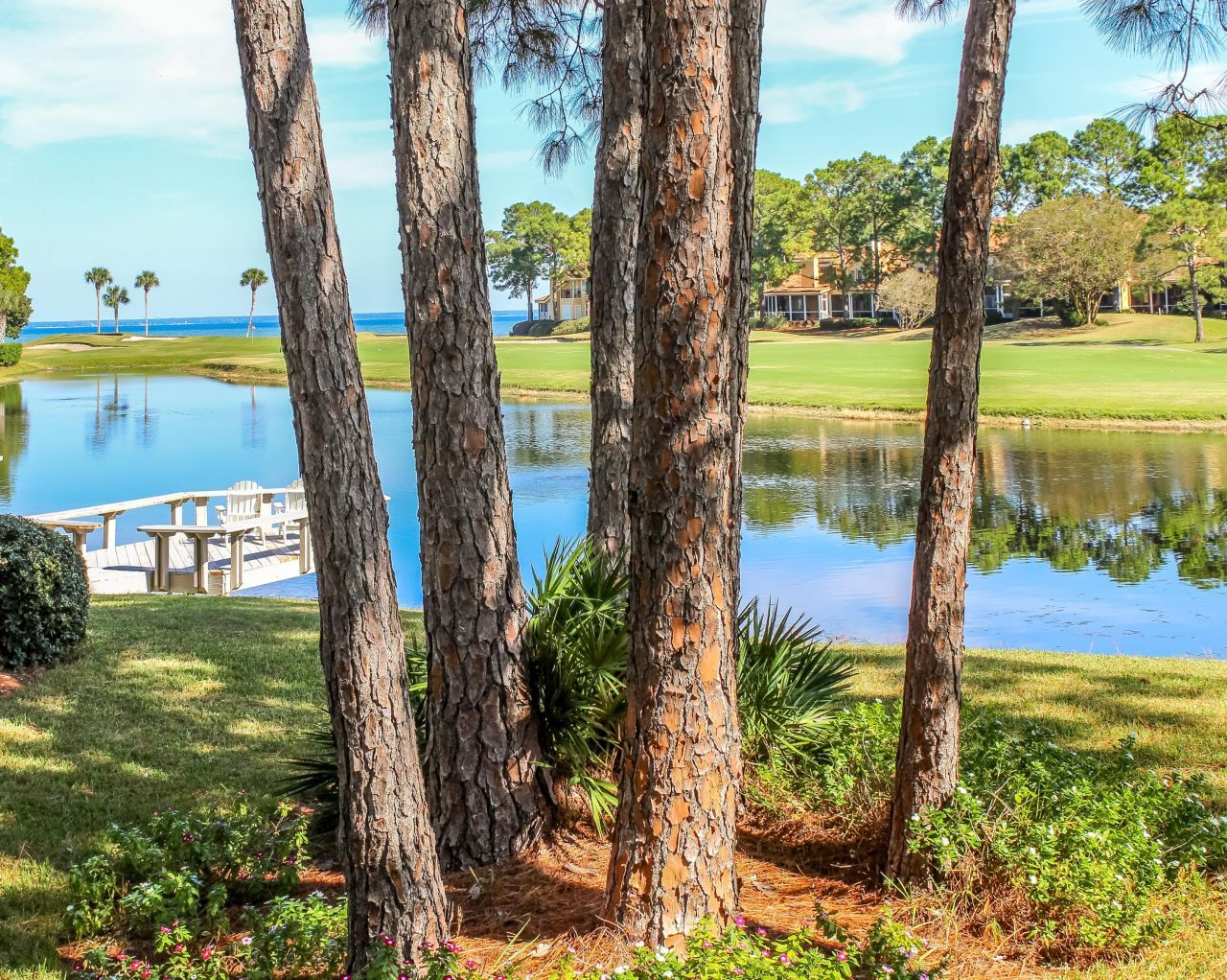 176 Cove Drive, Miramar Beach, FL 32550 Main Photo