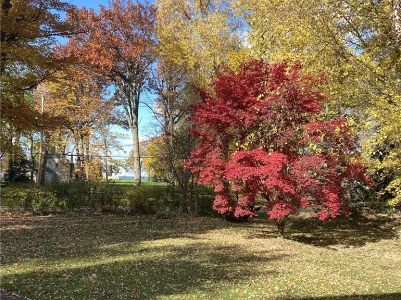 13104 Lake Shore Boulevard, Bratenahl, OH 44108 Photo 44