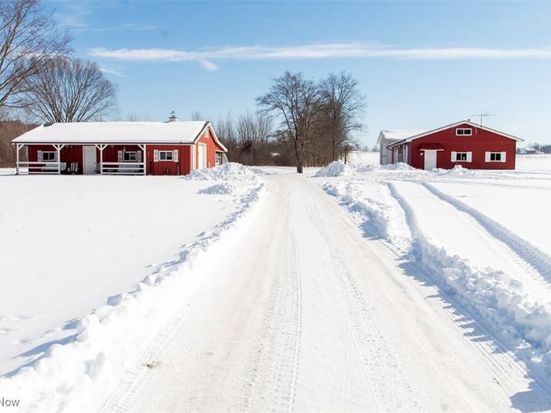 6961 Bear Swamp Road, Medina, OH 44256 Photo 28